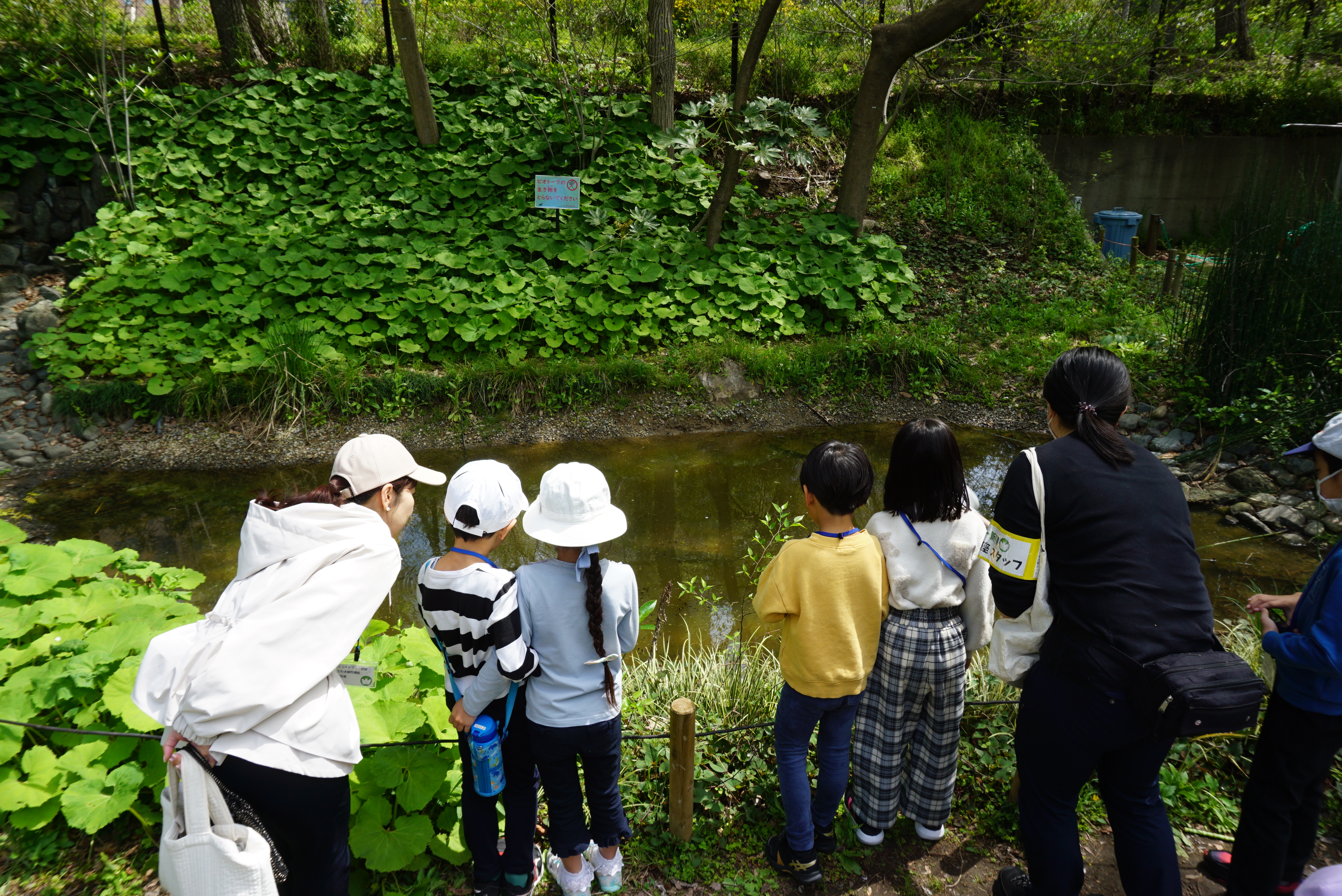 2024年 春 新宿中央公園 「春のいきものを観察しよう！」