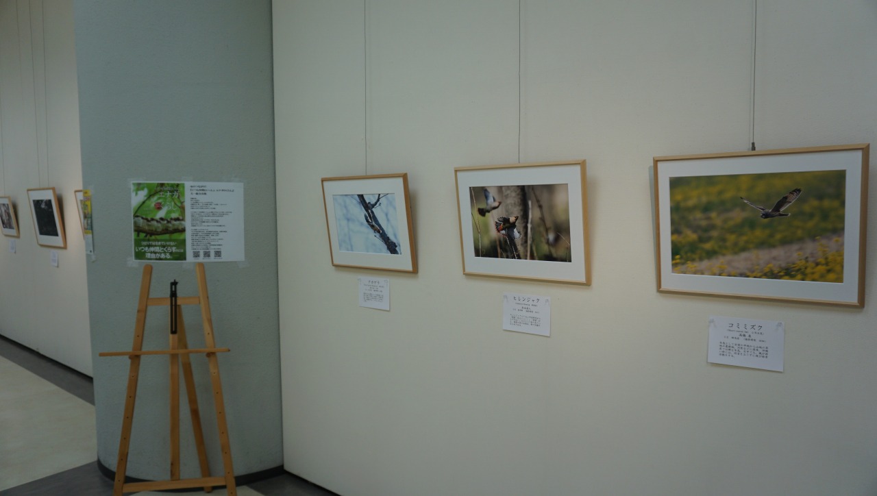 バード倶楽部野鳥写真展