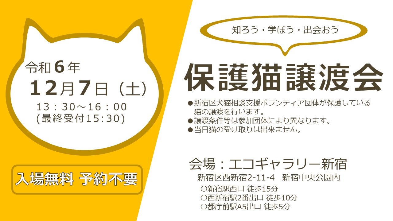 知ろう！学ぼう！出会おう！保護猫譲渡会