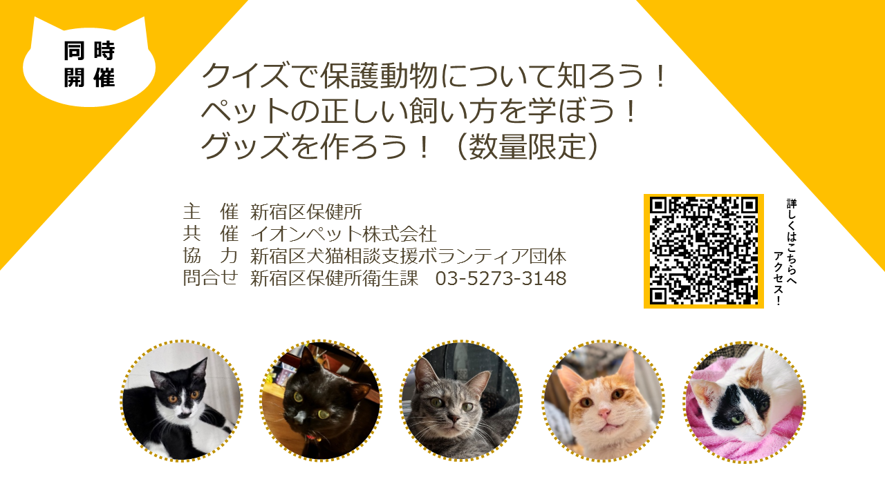 知ろう！学ぼう！出会おう！保護猫譲渡会